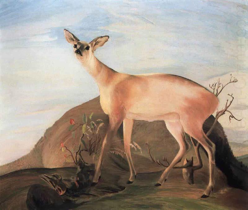 Deer, Kosztka, Tivadar Csontvry